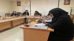  جلسه شورای سالیانه اساتید مشاور 